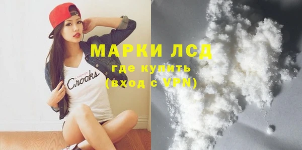 стаф Аркадак