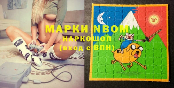 стаф Аркадак