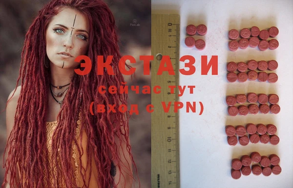стаф Аркадак