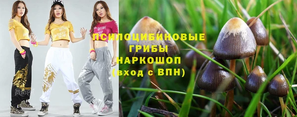 стаф Аркадак