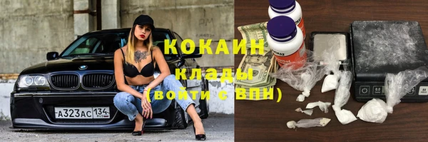 стаф Аркадак
