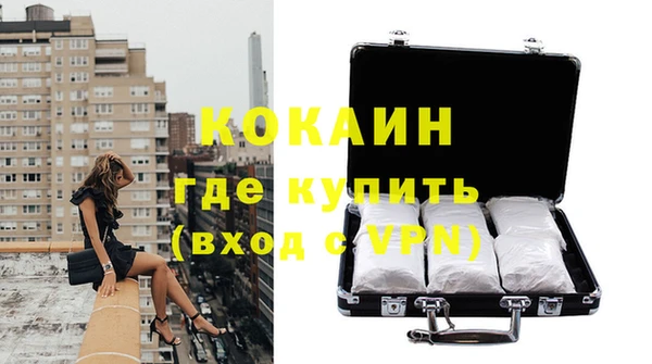 стаф Аркадак